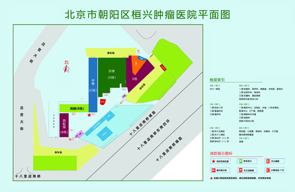 啊啊啊好爽操逼视频网站北京市朝阳区桓兴肿瘤医院平面图